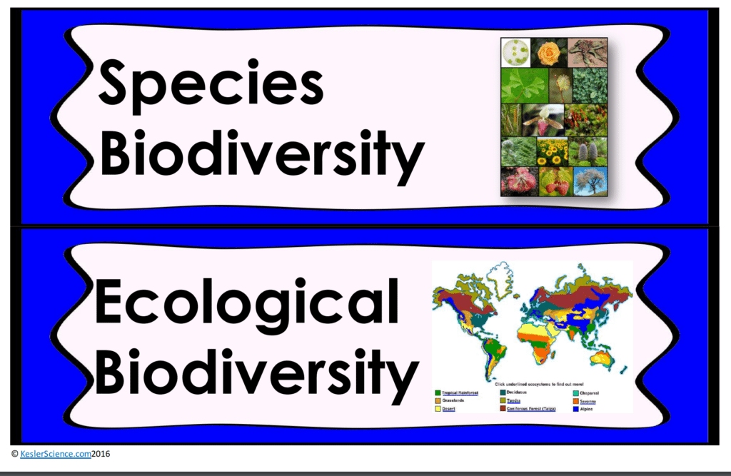 BIODIVERSITY LESSON PLAN – A COMPLETE SCIENCE LESSON USING THE 5E ...