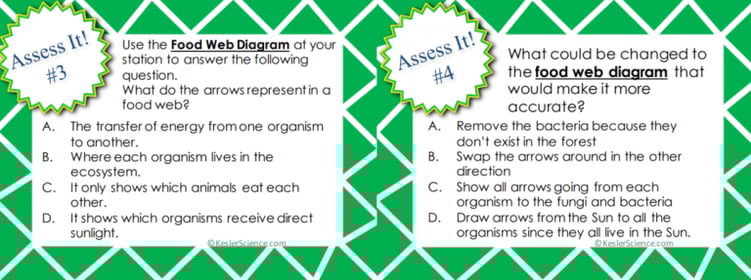 food web activity middle school 5377900772851712
