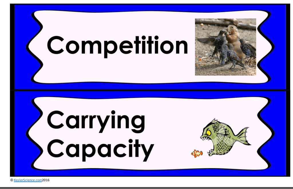 ABIOTIC AND BIOTIC FACTORS LESSON PLAN – A COMPLETE SCIENCE LESSON ...