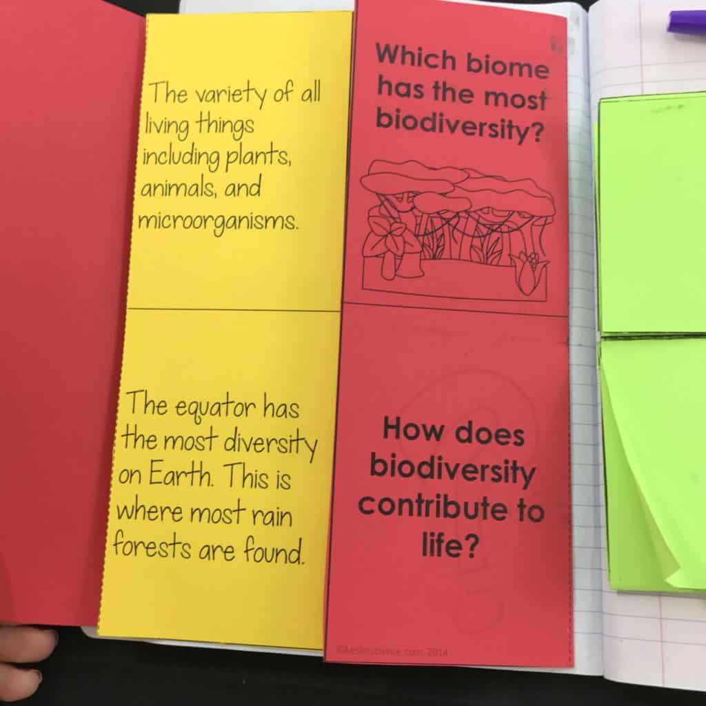 BIODIVERSITY LESSON PLAN – A COMPLETE SCIENCE LESSON USING THE 5E ...