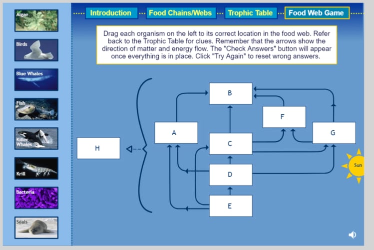 food web activity middle school 6391731024297984