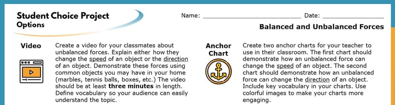 The top section of the Student Choice Project options. The displayed options read "Video" and "Anchor Chart". Each goes into more detail about how the project will help students learn.