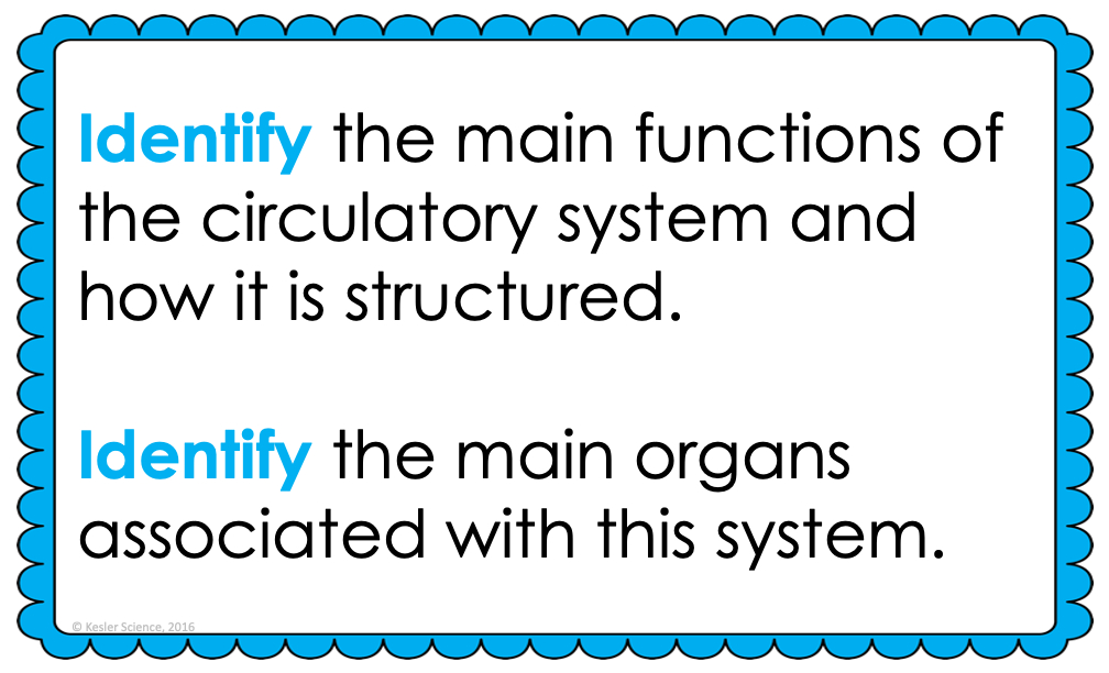 Circulatory System Lesson Plan – A Complete 5E Method Science Unit