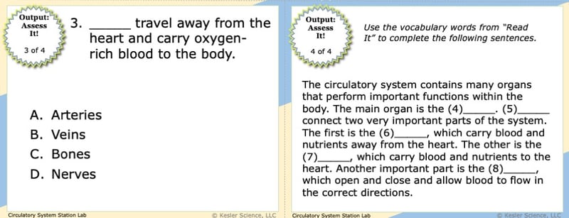 A screenshot of two multiple choice questions. The first asks what travel away from the heart to deliver oxygen rich blood. The second asks students to use vocabulary words to complete eight different sentences.