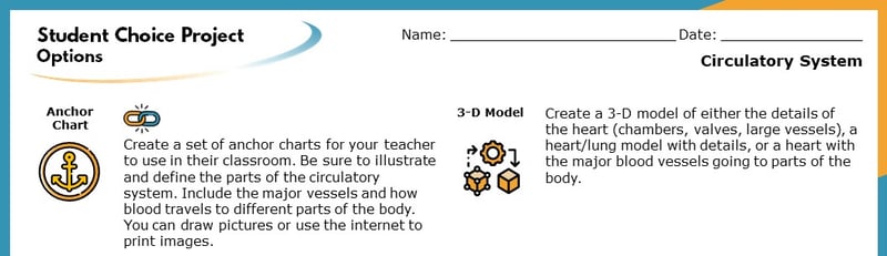 The top section of the Student Choice Project options. The displayed options read "Anchor Chart" and "3-D Model". Each goes into more detail about how the project will help students learn.