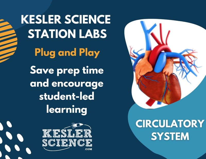 Circulatory System Station Lab Kesler Science