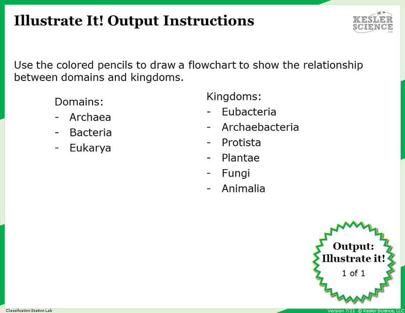 Illustrate it! Station Directions. Use the colored pencils to draw a flowchat to show the relationship between domains and kingdoms. Domains: Archaea, Bacteria, Eukarya. Kingdoms: Eubacteria, Archaebacteria, Protista, Plantae, Fungi, Animalia. Illustrate it! Station Directions. Use the colored pencils to draw a flowchat to show the relationship between domains and kingdoms. Domains: Archaea, Bacteria, Eukarya. Kingdoms: Eubacteria, Archaebacteria, Protista, Plantae, Fungi, Animalia.