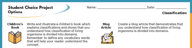The top section of the Student Choice Project options. The displayed options read "Children's Book" and "Blog Article". Each goes into more detail about how the project will help students learn. The top section of the Student Choice Project options. The displayed options read "Children's Book" and "Blog Article". Each goes into more detail about how the project will help students learn.