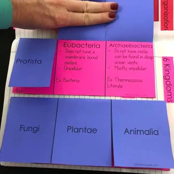 A photo of the INB, cut out and glued into a notebook. This INB is made up of six panels labeled Protista, Eubacteria, Archaebacteria, Fungi, Plantae, and Animalia. Two of the panels have been lifted up to show more information and some examples of the group on their front. A photo of the INB, cut out and glued into a notebook. This INB is made up of six panels labeled Protista, Eubacteria, Archaebacteria, Fungi, Plantae, and Animalia. Two of the panels have been lifted up to show more information and some examples of the group on their front.