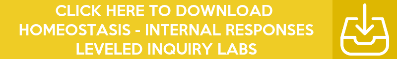 Copy-of-Copy-of-Copy-of-Copy-of-Copy-of-Inquiry-Lab-Banners-10