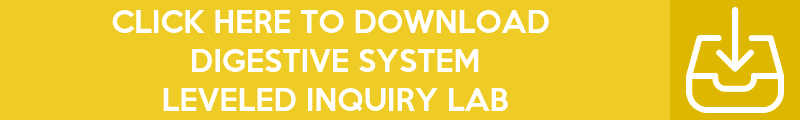 Copy-of-Copy-of-Copy-of-Copy-of-Copy-of-Inquiry-Lab-Banners-33