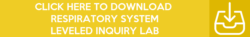 Copy-of-Copy-of-Copy-of-Copy-of-Copy-of-Inquiry-Lab-Banners-38