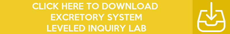 Copy-of-Copy-of-Copy-of-Copy-of-Copy-of-Inquiry-Lab-Banners-41