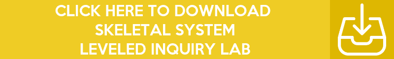 Copy-of-Copy-of-Copy-of-Copy-of-Copy-of-Inquiry-Lab-Banners-42