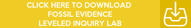 Copy-of-Copy-of-Copy-of-Copy-of-Copy-of-Inquiry-Lab-Banners-57