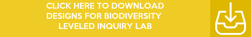Copy-of-Copy-of-Copy-of-Copy-of-Copy-of-Inquiry-Lab-Banners-69