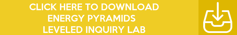 Copy-of-Copy-of-Copy-of-Copy-of-Copy-of-Inquiry-Lab-Banners-70