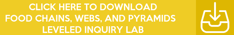 Copy-of-Copy-of-Copy-of-Copy-of-Copy-of-Inquiry-Lab-Banners-73