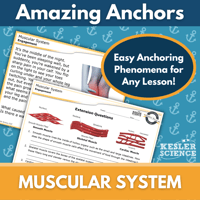 Cover - Muscular-1