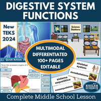Cover 2024 5E Digestive System