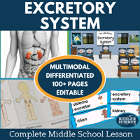 Cover 2024 5E Excretory System