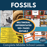 Cover 2024 5E Fossils