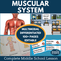 Cover 2024 5E Muscular System-1