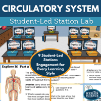 Cover 2024 SL Circulatory System