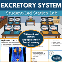Cover 2024 SL Excretory System