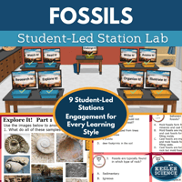 Cover 2024 SL Fossils