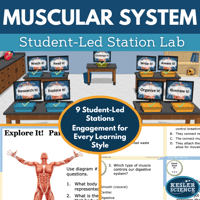Cover 2024 SL Muscular System