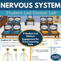 Cover 2024 SL Nervous System-1