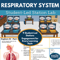 Cover 2024 SL Respiratory System-1