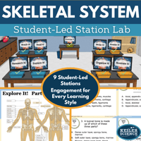 Cover 2024 SL Skeletal System