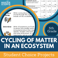 Cover Cycling of Matter in an Ecosystem
