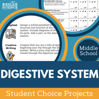 Cover Digestive System