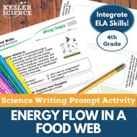 Cover Energy Flow of a Food Webs-1