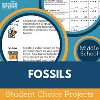 Cover Fossils
