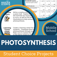 Cover Photosynthesis