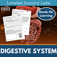 Cover-Digestive System