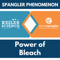 Cover-Power of Bleach