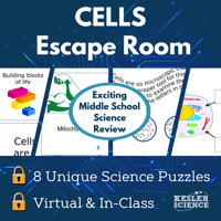 Cover24-Cells-1