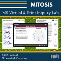 Cover_DIL_Mitosis