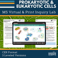 Cover_DIL_prokaryotic & eukaryotic cells