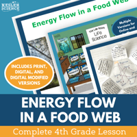 Cover_EnergyFlowFoodWeb_Complete-1