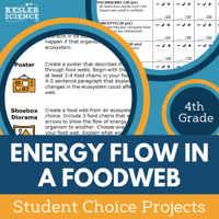 Cover_EnergyFlowFoodWeb_StudentChoice