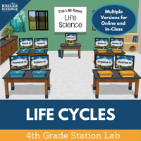 Cover_LifeCycles_SL