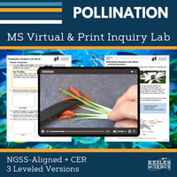 Cover_Pollination - new