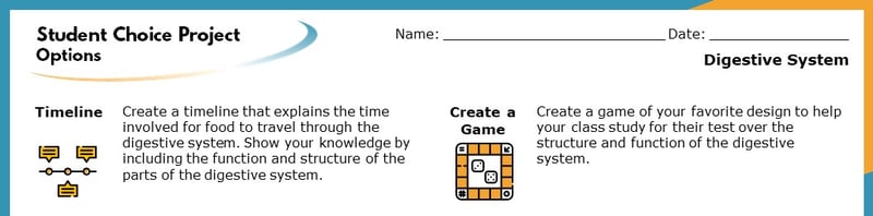 The top section of the Student Choice Project options. The displayed options read "Timeline" and "Create a Game". Each goes into more detail about how the project will help students learn.