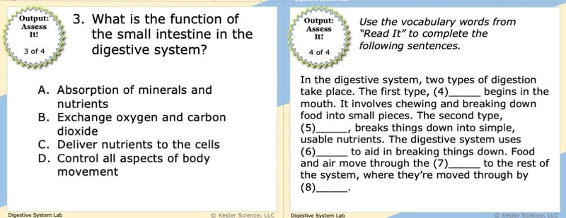 A screenshot of two multiple-choice Assess it! questions. The first asks students "What is the function of the small intestine in the digestive system?". The second asks students to complete five sentences using vocabulary words from the Read It section.